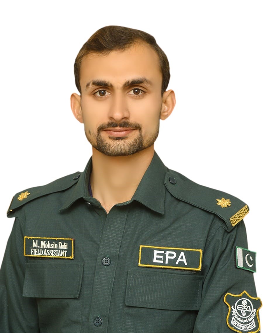 M Moshsin Khalid 